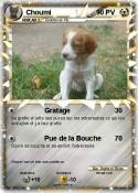 Choumi