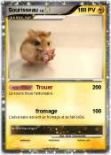 Sourisseau