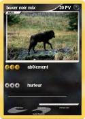 boxer noir mix