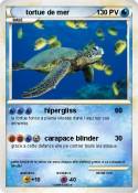 tortue de mer