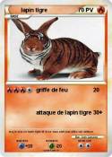 lapin tigre lapin tigre