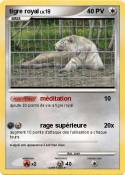 tigre royal