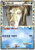 BALI EX