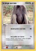 le singe sen