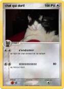 chat qui dort! chat qui dort!