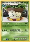 harry pot de