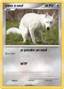 chien à oeuf