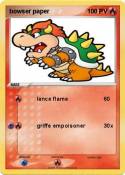 bowser paper