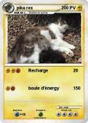pika rex
