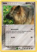 Orka