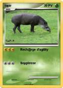 tapir