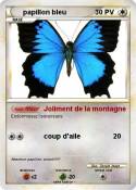 papillon bleu papillon bleu