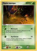 Plante basique