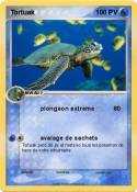 Tortuak