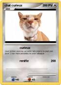 chat curieux