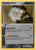 PHOEBE PETIT