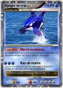 Kyogre en vrai