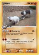 pitchou