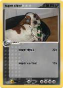 super chien