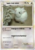 lapin tout mimi