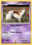 barzoi