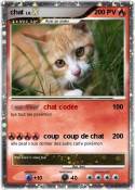 chat