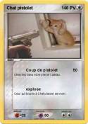 Chat pistolet