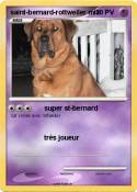 saint-bernard-rottweiler