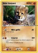 Bébé Guépard