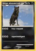 berger allemand