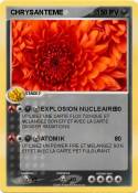 CHRYSANTEME