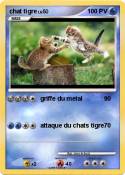 chat tigre