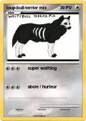 loup-bull-terrier mix loup-bull-terrier