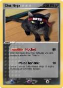 Chat Ninja