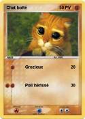 Chat botté