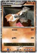 chat booxer