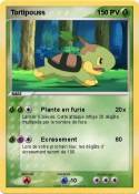 Tortipouss Tortipouss