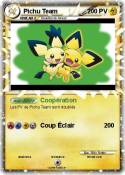 Pichu Team