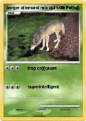 berger allemand mix qui b0ie l'e@u berger allemand