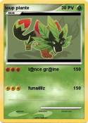 loup plante