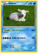 mouton