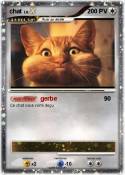 chat