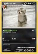 CHAT CHAT