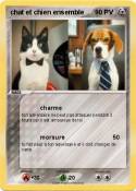 chat et chien