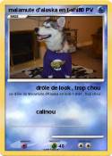 malamute