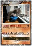 asachat