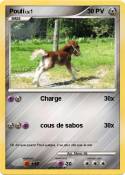 Pouli