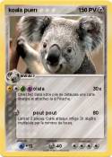 koala puen