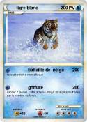 tigre blanc