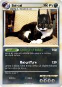 Bat-cat Bat-cat